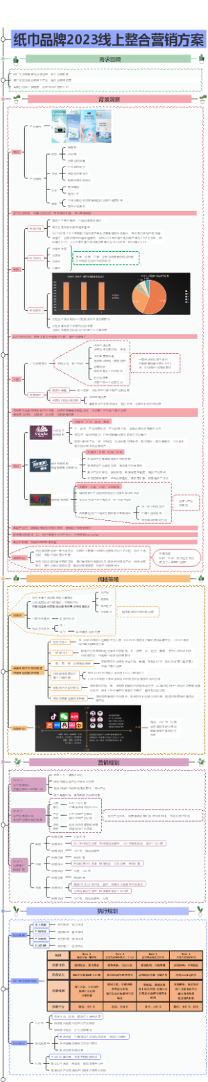 纸巾品牌线上整合营销方案