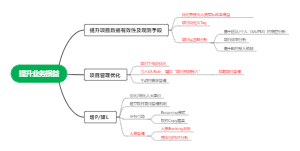 软件及服务项目管理