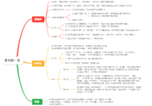 漫长的一生