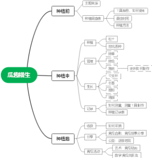 瓜趣横生