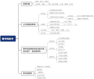 cpa-战略-数字化技术