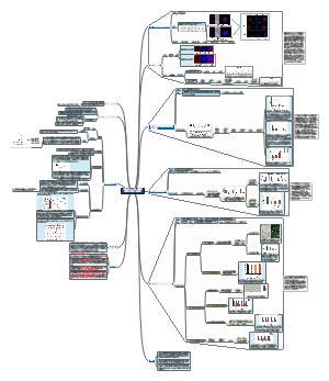 长非编码RNA Gtl2在小鼠胚胎发育早期的表达调控及功能研