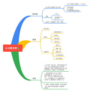 认识微生物_