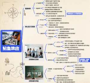 鲇鱼效应