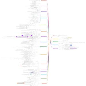 肖星的财务思维课
