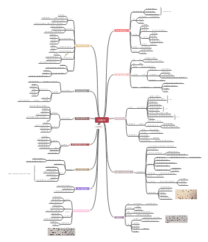 《红星照耀中国》思维导图