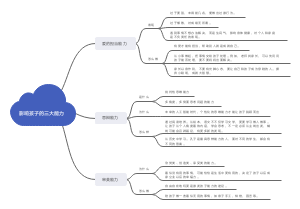 智慧人生 第1课 影响孩子最重要的三点能力