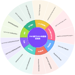 PMO部门2024年度规划实例