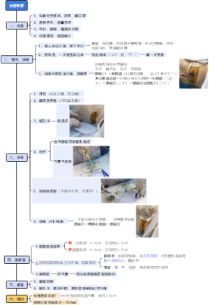 女性导尿