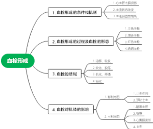 血栓形成