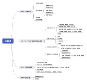核医学肿瘤显像