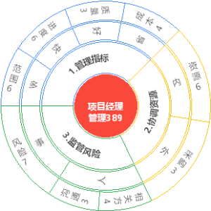 项目经理管理389模型