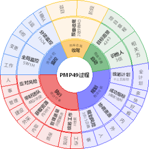 PMP49过程