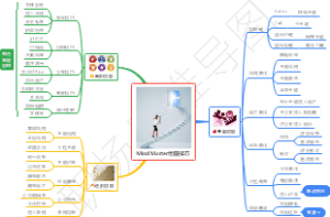 MindMaster绘图技巧
