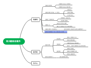 党大题综合提升