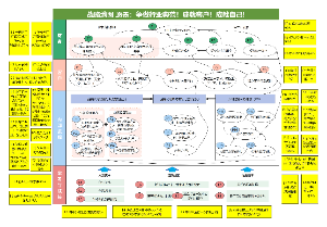 公司战略地图