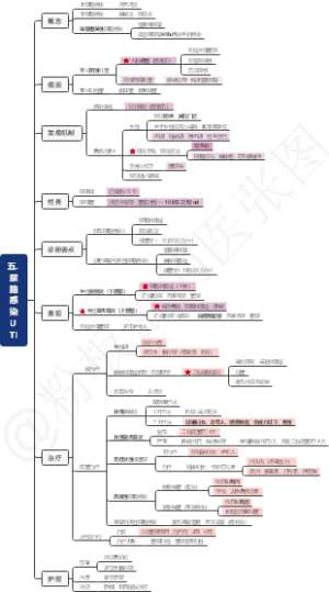 内科护理学—泌尿系统-4尿路感染