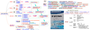 课程内容编排与教学设计思维导图