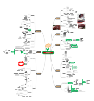 肝脏的基本病变 @付强执业兽医师20220930