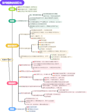 酵母细胞的固定化