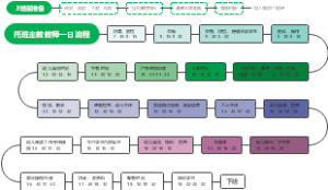托班主教教师一日流程