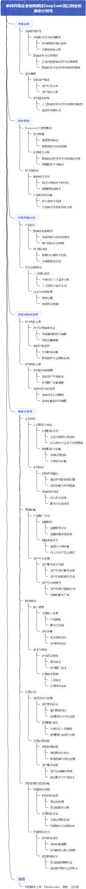 软件开发企业如何抓住DeepSeek风口创业的商业计划书