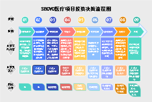 SBCVC医疗项目投资决策流程图