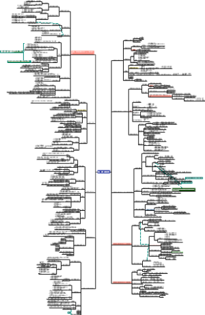 2022法考李建伟第一编总则编
