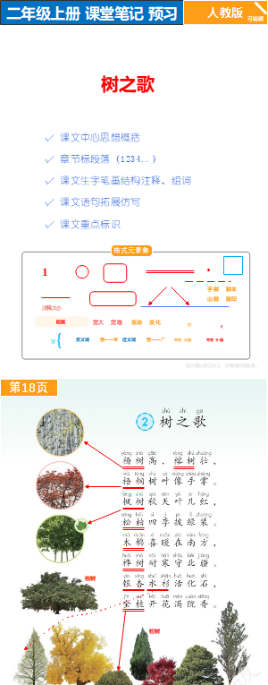 人教版 语文二年级随堂笔记原版-树之歌