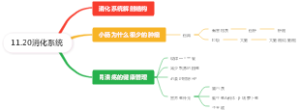 11.20消化系统