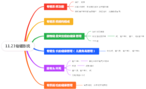 11.23骨骼系统