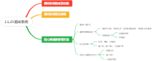 11.25循环系统