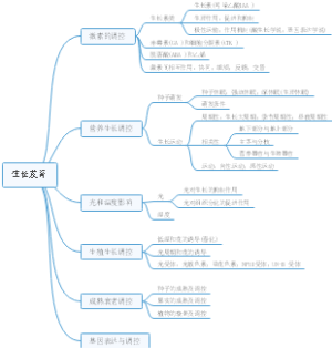 植物生长发育
