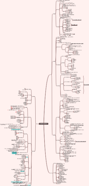 从专业到管理-管理者的管理课