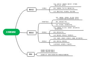 太阳病腑证思维导图