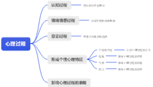 心理过程