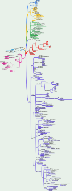 两年前端学习记录