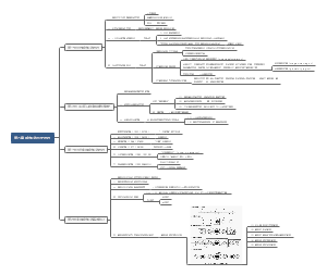城市地理学 第五章 城市化的历史进程