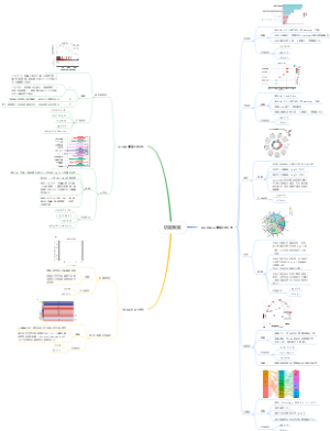 Day8 生信常见图片讲解(2)