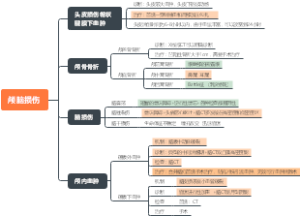 颅脑损伤思维导图