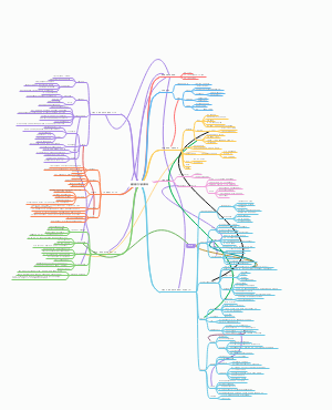 脑功能开发与素质训练