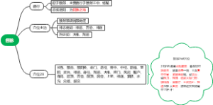 督脉思维导图