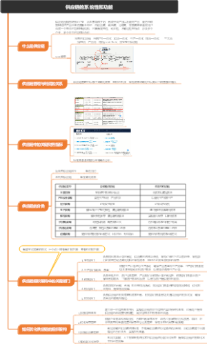 供应链的系统性和功能