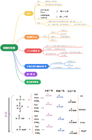 羧酸衍生物