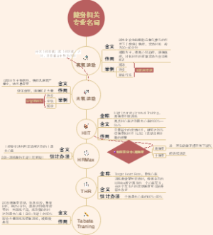 健身相关专业名词解释！