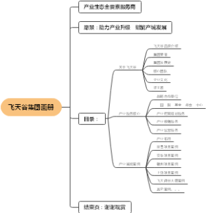 飞天谷集团画册