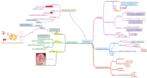 生理学第一章绪论