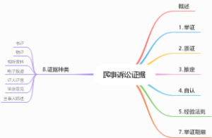 民事诉讼证据运用与实务技巧-王新平