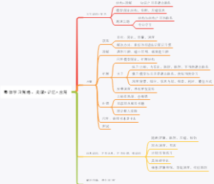 整体学习策略关联、记忆、应用
