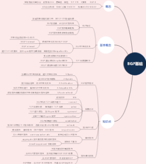 BGP基础